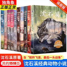 沈石溪动物小说全10册珍藏版动物小说大王沈石溪儿童课外读物