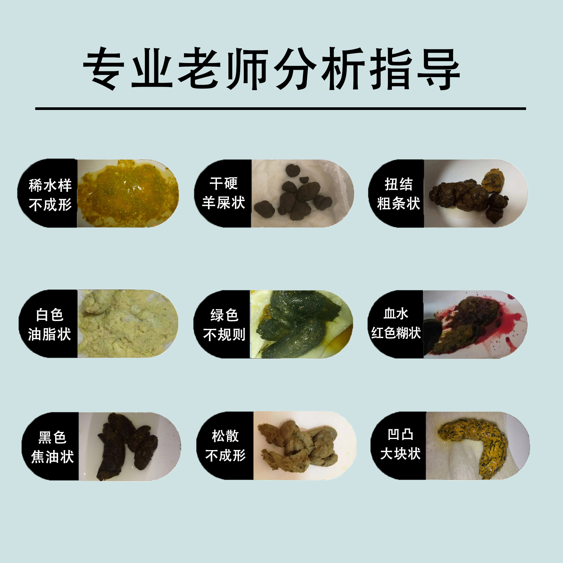 Probiotic Enzyme Powder (Taiwan-Style Fruit & Vegetable Blend) — Dietary Fiber Drink Mix quality and texture