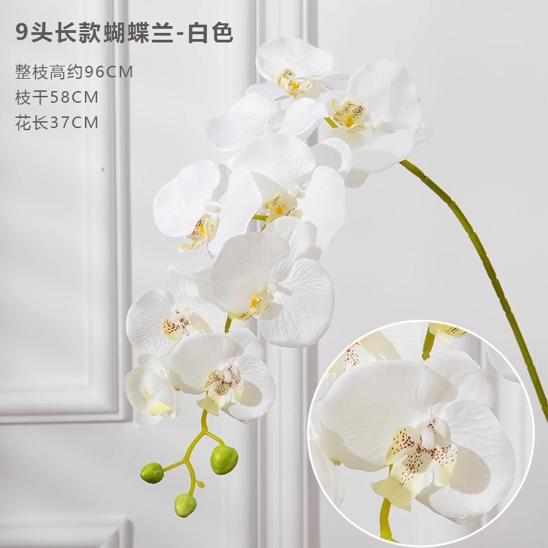 9 포크 phalaenopsis 흰색