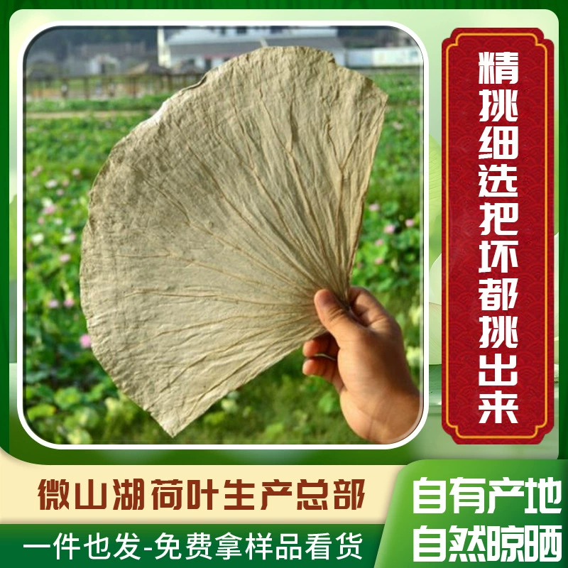 Озеро Weishan свежий лист лотоса цельный сушеный лист лотоса сумка клейкий рис курица жареная курица лист лотоса курица нищий курица специальный новый коммерческий