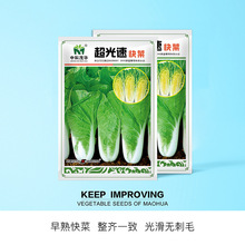 中科茂华蔬菜种子超光速快菜种子早熟青菜种籽四季易种蔬菜种菜园