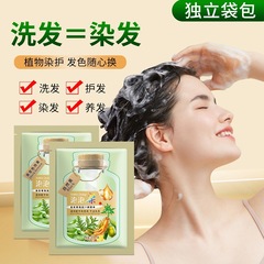 【卸売り専用】起爆袋泡染毛剤植物染毛剤カバー白髪家庭用泡染毛育成