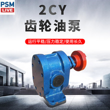 2CYϵX݆ͱ X݆ͱ X݆ͱ PX݆