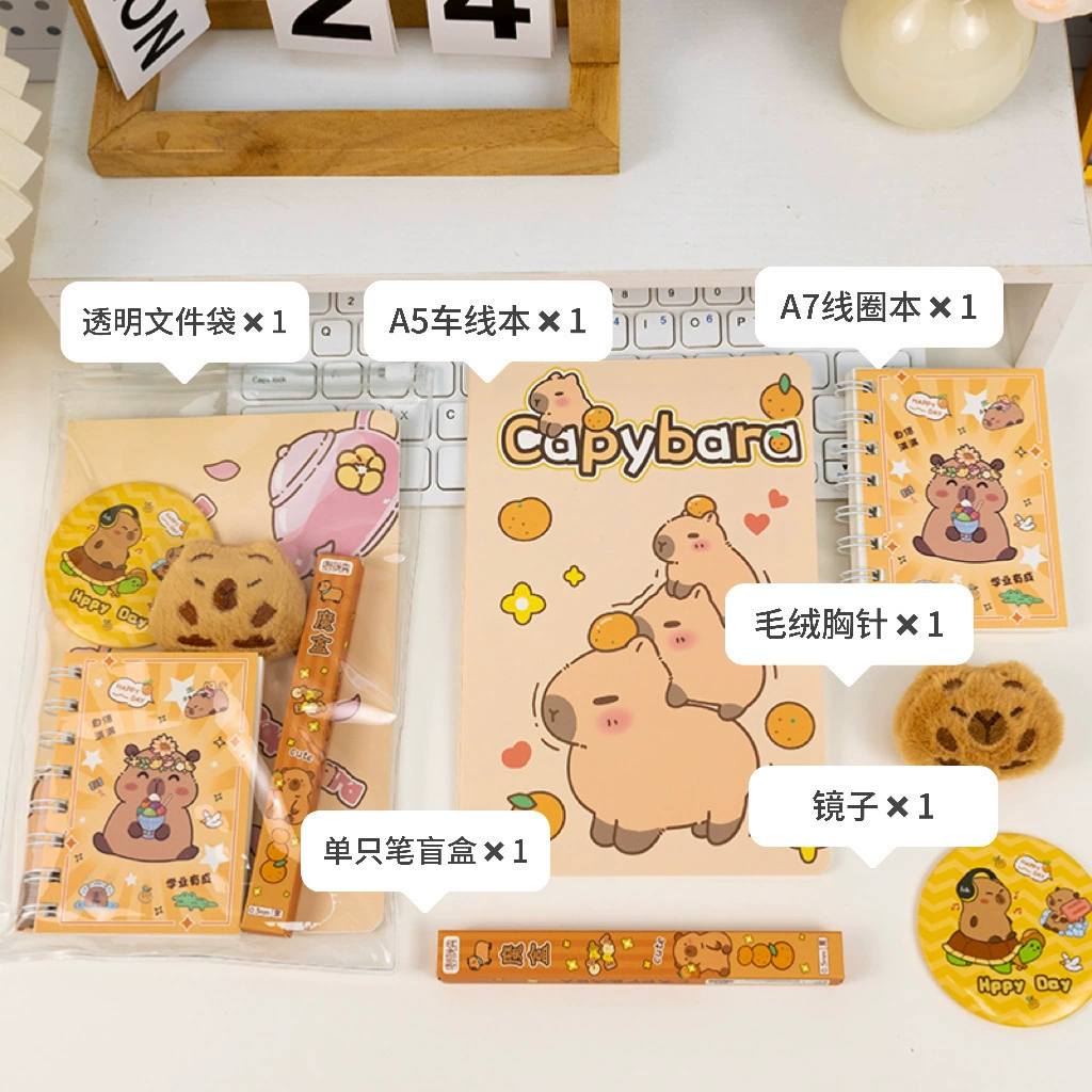 Creative stationery set, small clear pouch, for secondary school — birthday gift kit