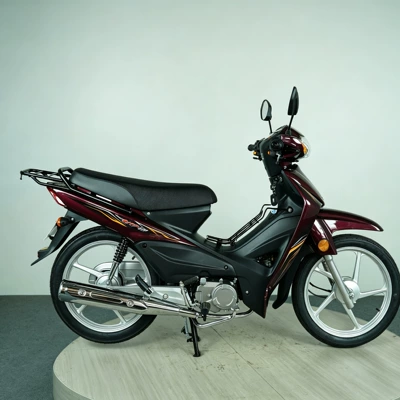 Ud110 Fuel-Efficient Moped for Motosikletlər
