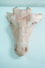 ¹�^����¹�l�����¹��ֻ�r¹�^�|���p�¹�l���l¹�^