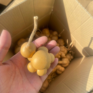 Handcrafted Unique Small Gourd with Gold Turtle Design for Street Stalls and Night Market Live Broadcasts, a Traditional Folk Craft