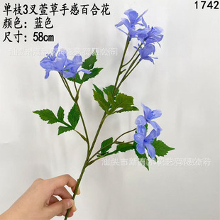 �S�����l���滨�ٺϻ������ɫ�������[���Ҿ��bٻ��Ĕz����