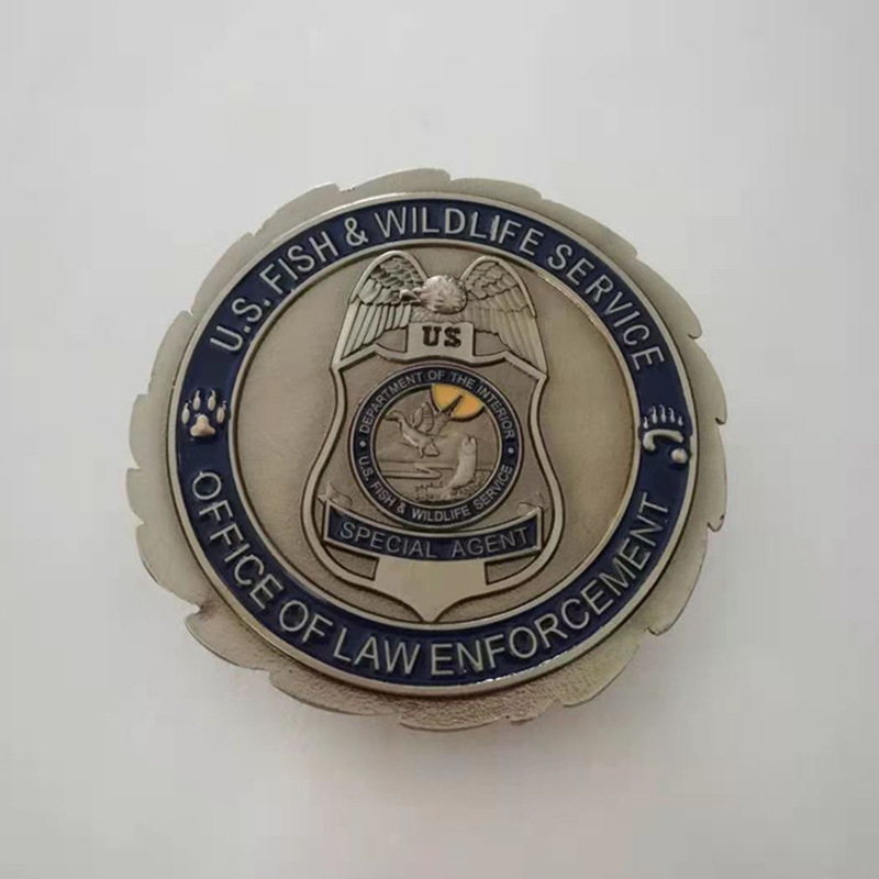 浮雕鹰纪念币 (2)