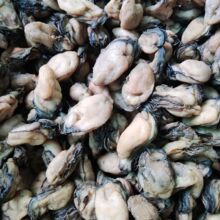 大号无盐不抽油谈晒广东湛江生蚝特产海产牡蛎干货特级海蛎蚝鼓