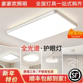 吸顶灯;吊灯;成套灯具