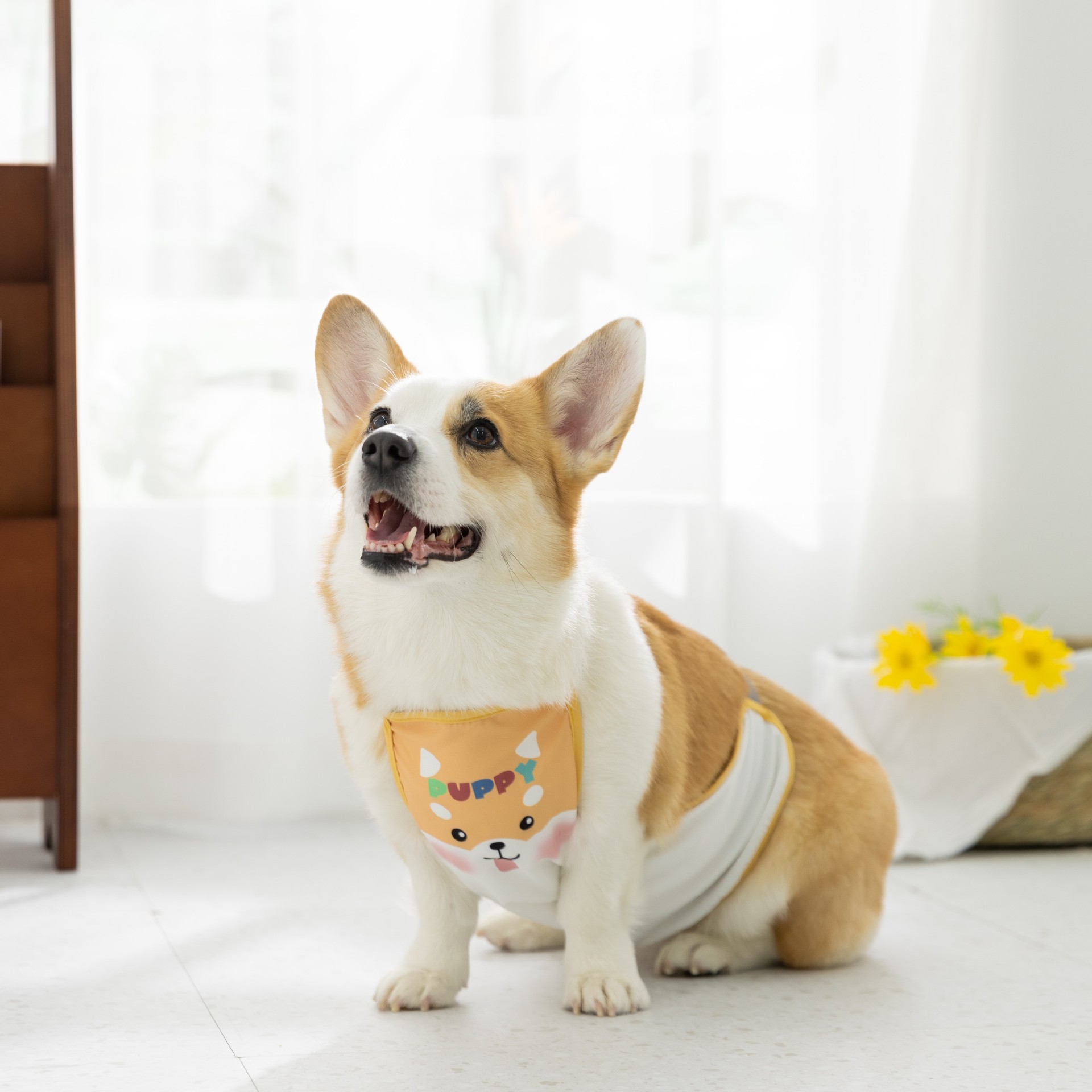 Nuevos dibujos animados Kocky impermeable estómago impresa bolsa de perros pequeños y medianos mascotas cuatro estaciones general perro estómago ropa al por mayor