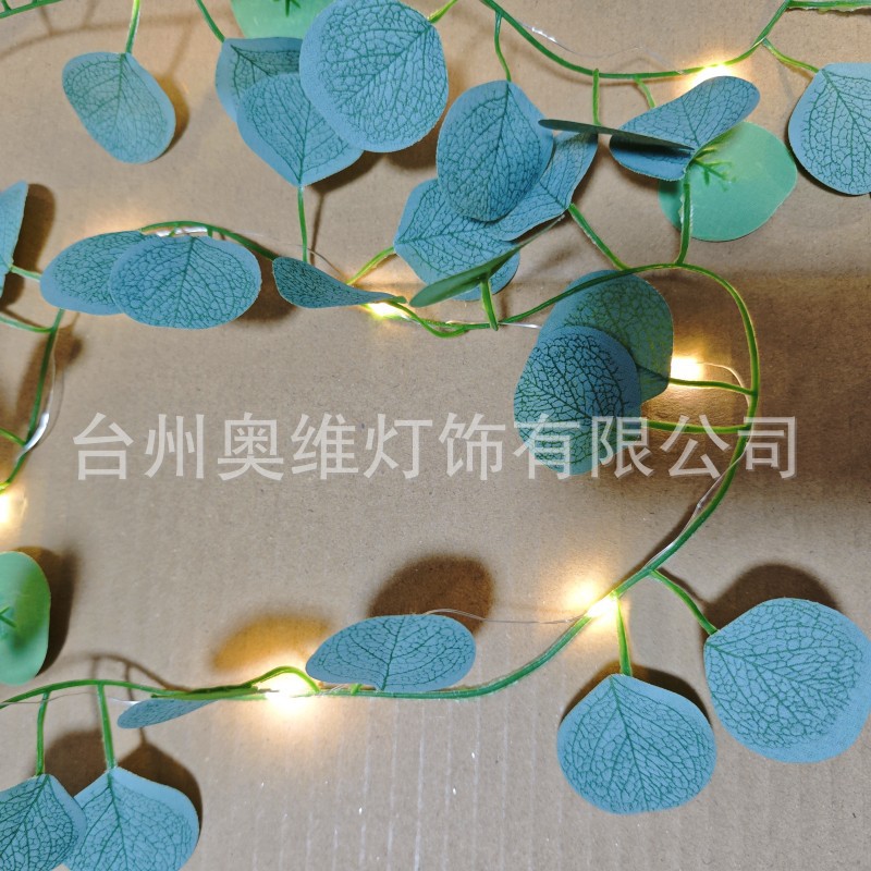 微信图片_20250818215408