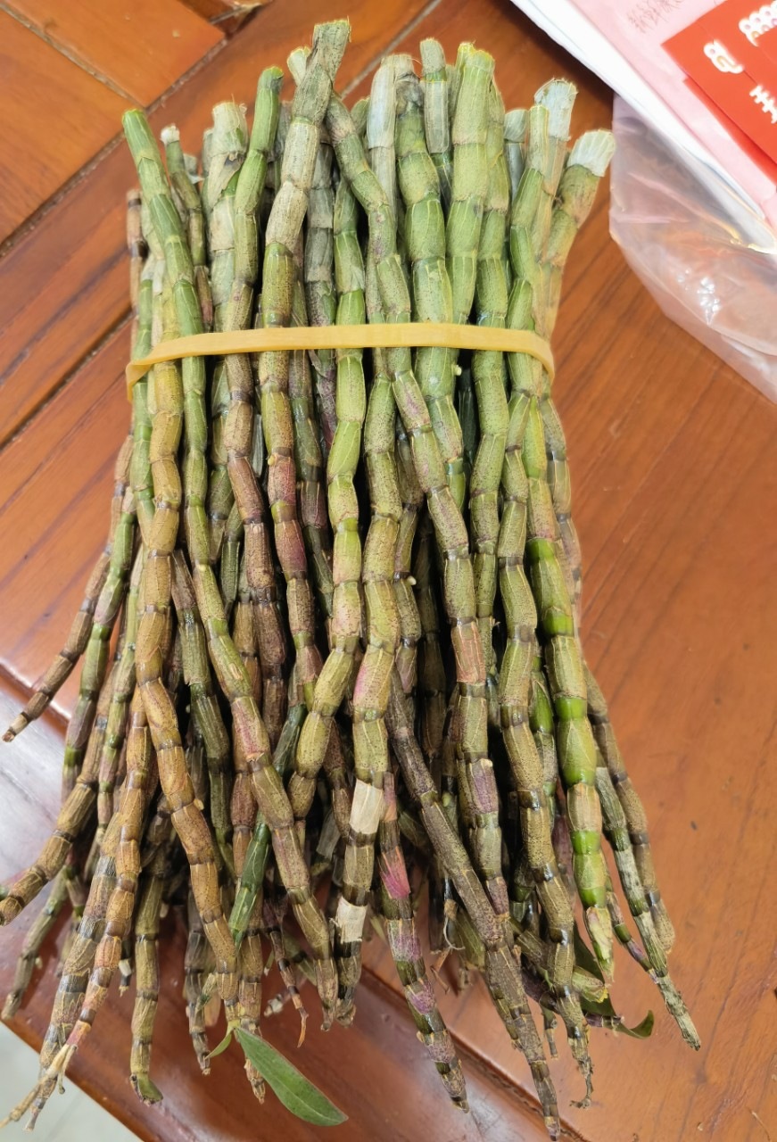 Fresh Tie Pi Shi Hu Dendrobium Stems 500g Five Year Huoshan Harvest Ready to Eat overview