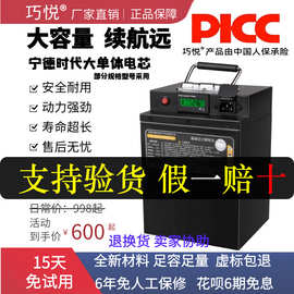 巧悦48V锂电池磷酸铁锂电动摩托车外卖快递代步电瓶用外卖专用