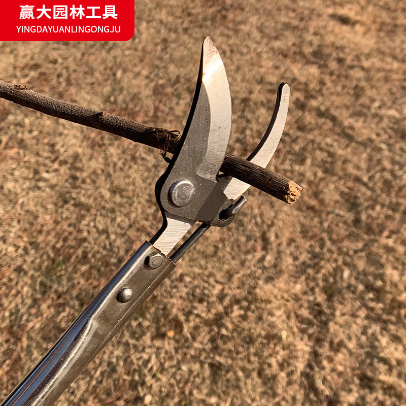 Ganar grandes tijeras de rama alta de acero inoxidable, tijeras de recolección de frutas de 1,5 m, tijeras de podar a gran altitud, tijeras de rama alta de acero inoxidable transfronterizas, herramientas de jardín