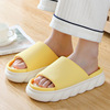 Universal slippers indoor platform suitable for men and women, wholesale