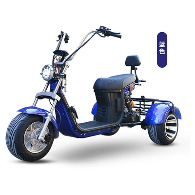 Elektrikli motosikletlər tricycle large wide tire - blue-lyt8