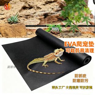 Ќeva|ɫɫAcyB|ˮü׉|