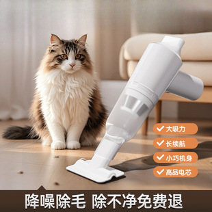 New Household Pet Electric Hair Suction Device Handheld Cat and Dog Floating Hair Sofa Carpet Hair Removal Artifact Bed Vacuum Cleaner