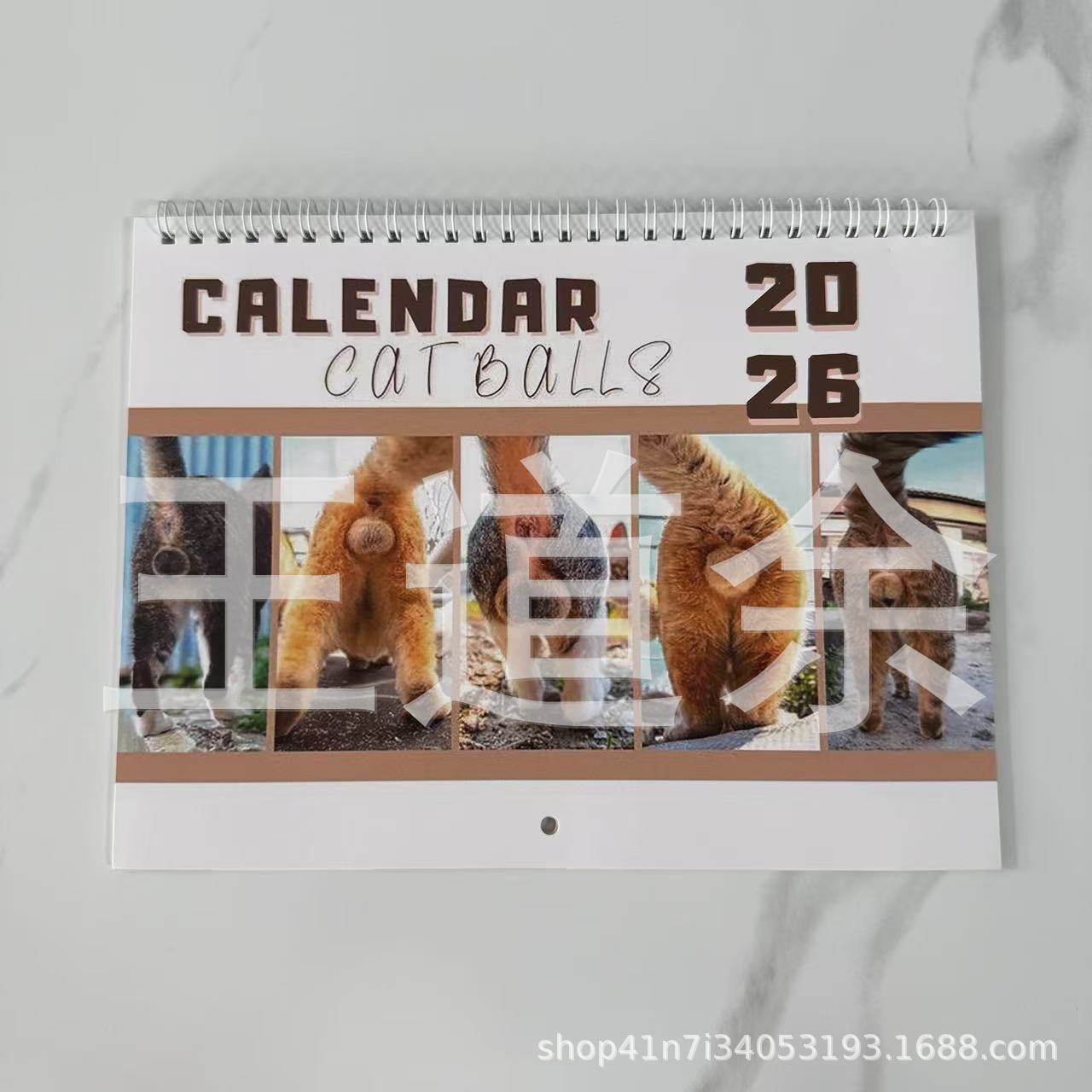 고양이 엉덩이 다섯 개