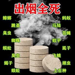 ✅ Cockroach and Flea Medicine for Home Kitchen Indoor Kills Small Strong Flies, Mosquitoes, Spiders, Bed Bugs, Moths, Insect Repellent Smoke
