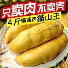 榴蓮肉泰國貓山王新鮮冷凍榴蓮果肉純肉有核無殼泰國進口水果批發