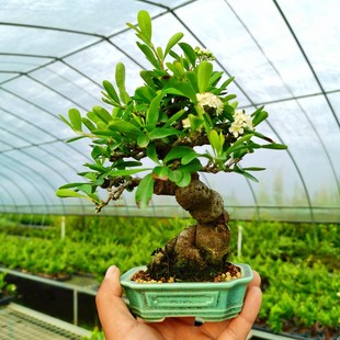 ΢�ͻ𼬰��������辰���ļ������ͥԺ�҃��ԷN�����՚��L��