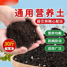 种葱专用土阳台种菜通用型蔬菜种菜种植土营养土盆栽香葱土壤家汗