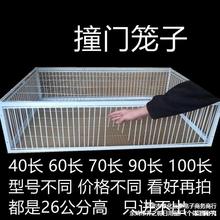 批发鸽子用品用具撞门笼只进不出全自动活络条撞门笼只进不出厂家