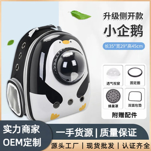 Wholesale Space Capsule Cat Bag 2024 New Foreign Trade Pet Bag Cute Cartoon Portable Outing Backpack Cat Backpack