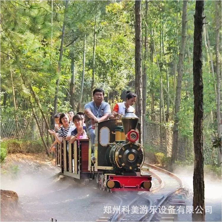 Realistic travel train