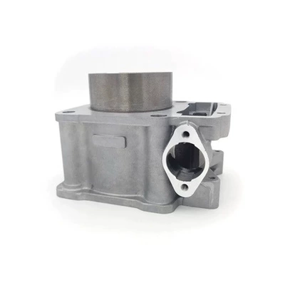 Zs174Mn-3 Cbs300 Upgraded to – Cylinder and parts