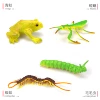 Frog+蜈+caterpillar+mantis