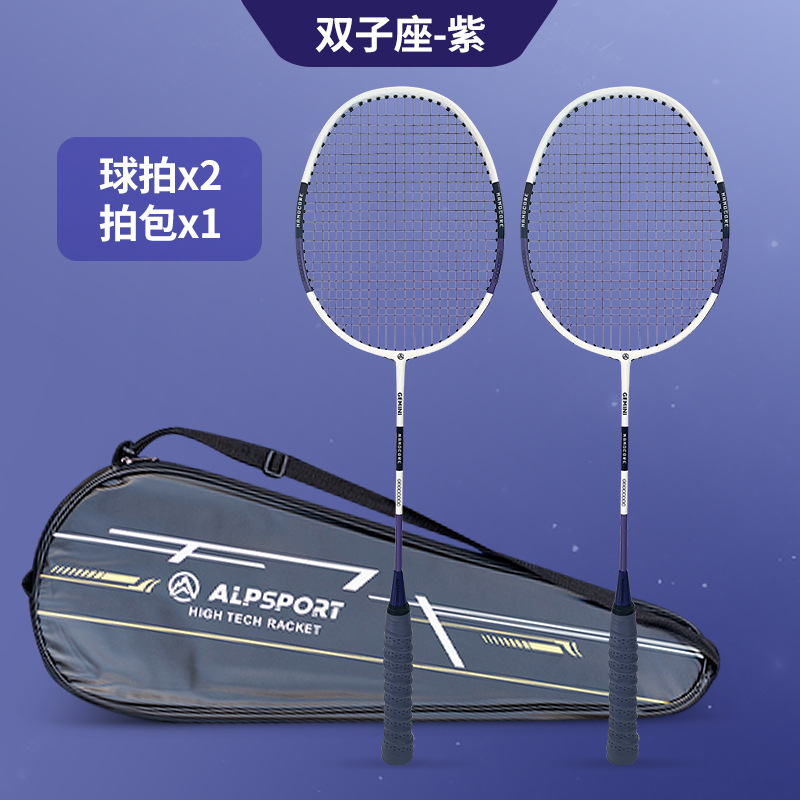 제미니 퍼플 2개입 [무료 슈팅백]