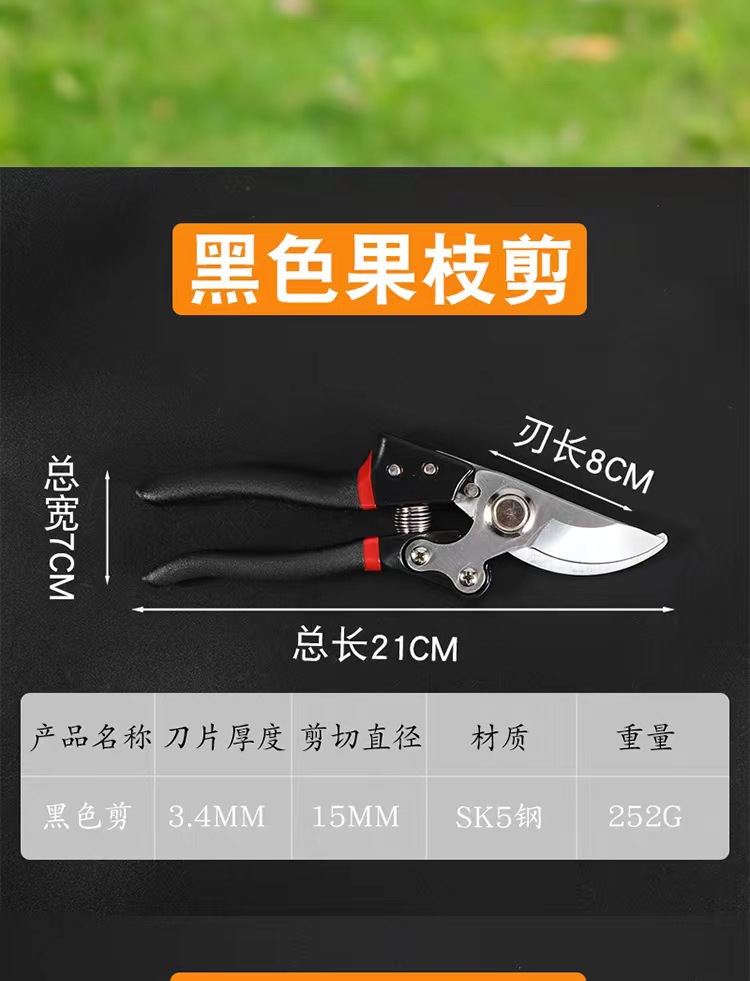 微信图片_20220808113858