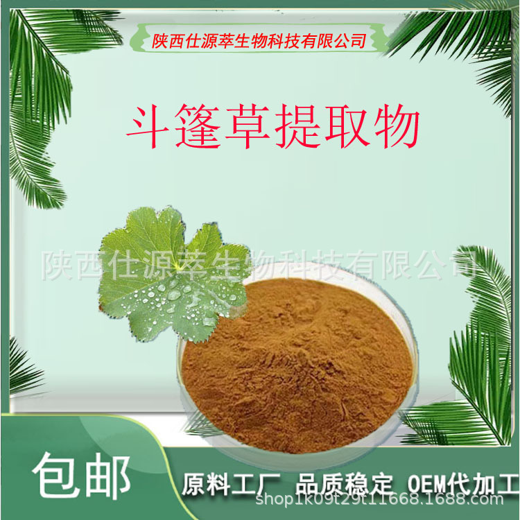 斗篷草提取物 原料植物提取物 斗篷草原粉羽衣草提取物84695-94-3