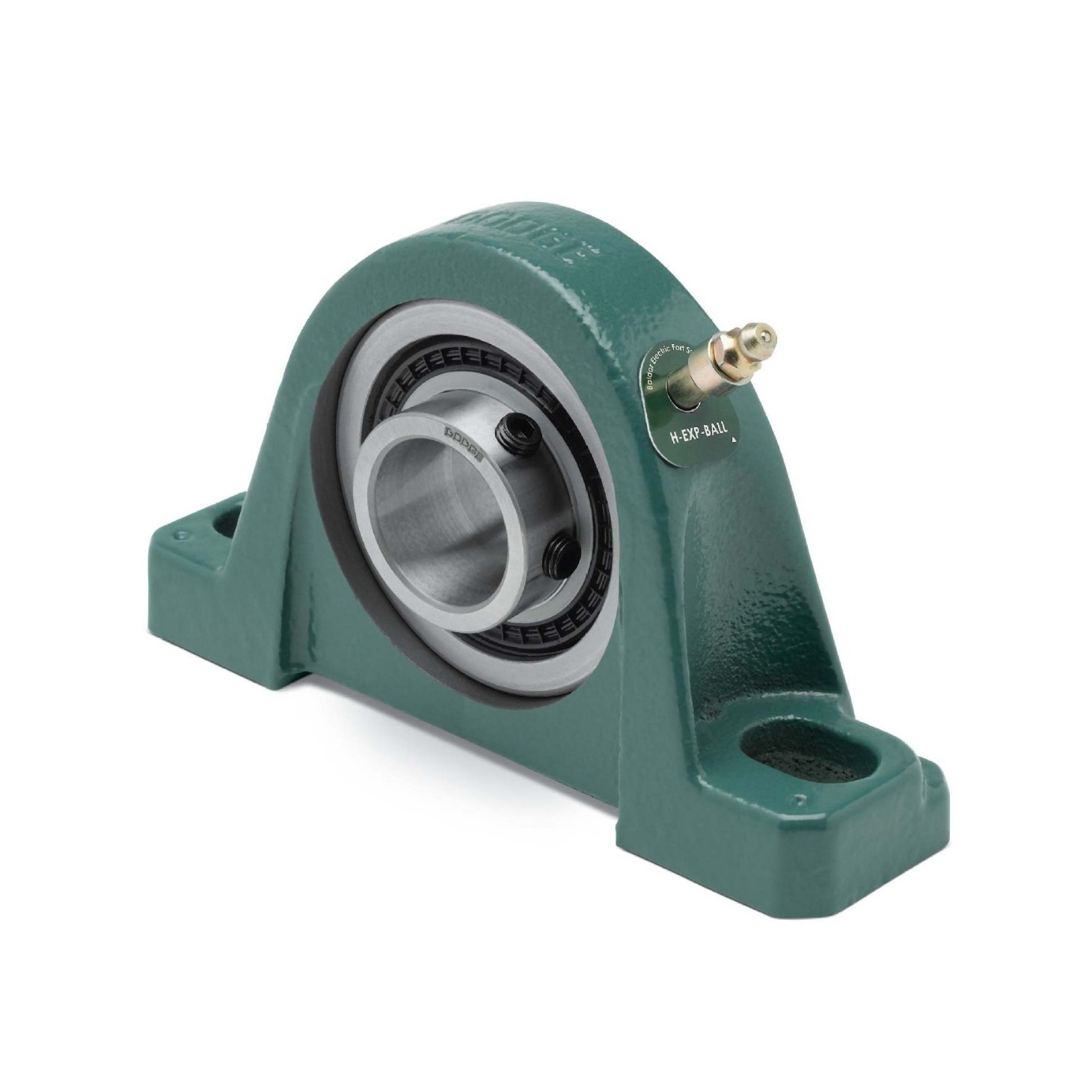 123905 P2B-SCAH-100美国道齐带座轴承