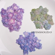 天然原色多瓣绣球干花押花滴胶手机壳diy真花杯垫押花相框填充物