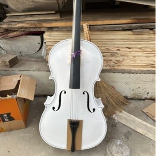 �S�Ҍ�ľ�ռ������� ���˃�ͯ���W�����������������cello