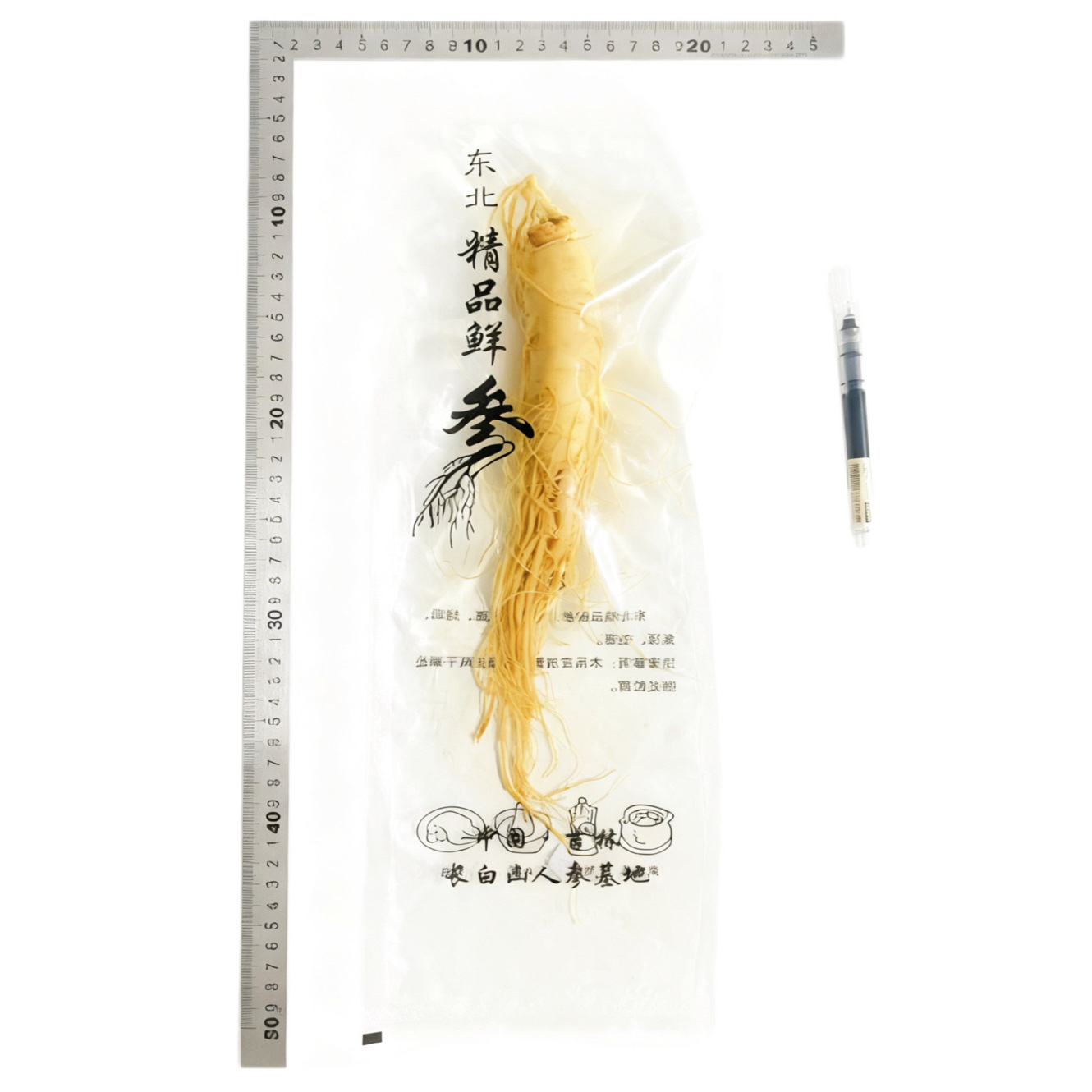 【鮮人参】長白山人参卸売メーカー直販 東北特産新鮮人参 酒漬け人参 生人参