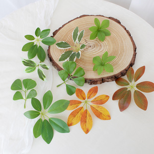 ~ӼҾӻˇ廨С҃ȼ٘G~bdiyGֲ