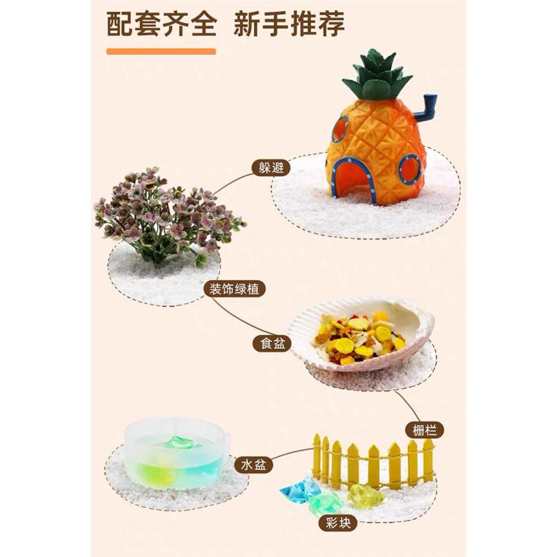 초보자를 위한 소라게 사육 탱크 세트, 어린이 사육 스폰지밥 네모바지 조경 상자 소라게 완전 세트