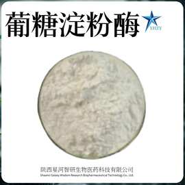 星河智研 葡糖淀粉酶 20万 淀粉糖化 发酵酿造 糖化酶