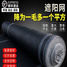 �������Ӻ���ܷ�ɹ��������������ֲ���ɫ������̫���������غ�