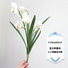 Simulatory Cymbidium 3D Print Orange Found Moisturizing Simulation Great Cymbidium Living Room Table Decoration Fake Flower Wedding Wedding