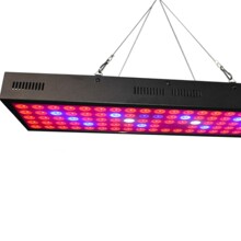 LED ֲ�����L��ˮ���߲�ȫ���V�M����������Sֲ���a���ֲ���a��