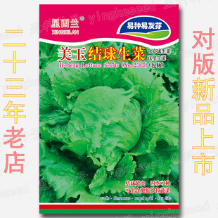 ����Y�����˷N�� �������� ������ ���} ɳ�� �������� �h������