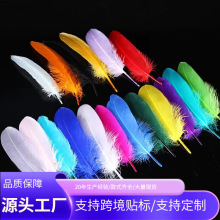 厂家直销散装硬飘羽毛鹅毛服装辅料diy饰品工艺品装饰配件材料