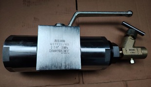 Q17F21/65 �����b�� Q17F35/65 ���y Q17F21/52��й����ֹ�y2-7/8